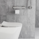 Care+ Eclipse Linear Grab Rail With Toilet Roll Holder Polished S/S304 Concealed Fix