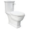 Fienza RAK Washington Front Lever Close Coupled Toilet Suite, Alpine White